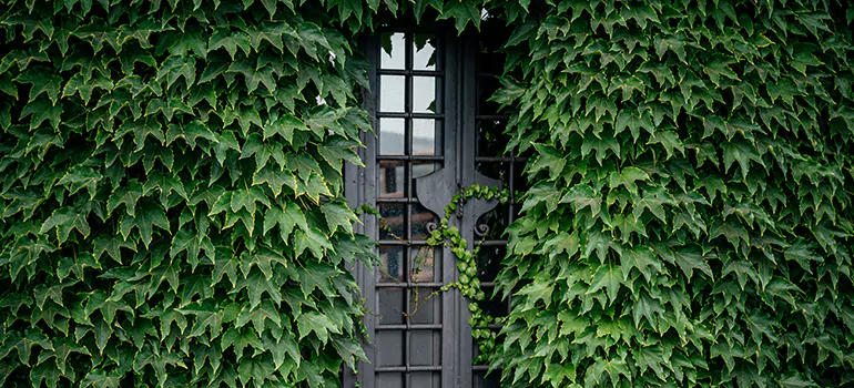 Garden Gate Repair in Margate, FL