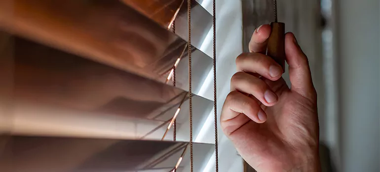 Double Roller Blinds in Margate, FL