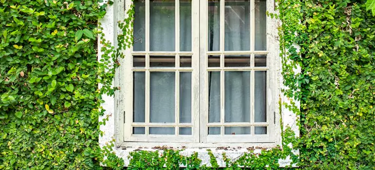 Garden Window Repair Near Me in Margate, FL