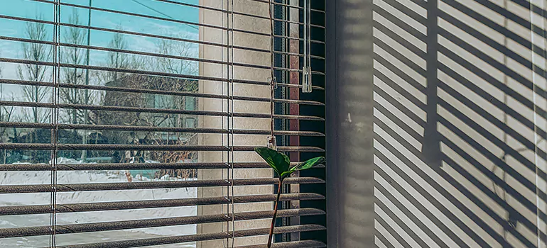 Commercial Window Blinds in Margate, FL