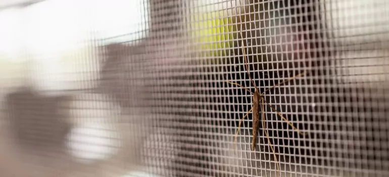 Repair Mosquito Mesh For Windows in Margate, FL