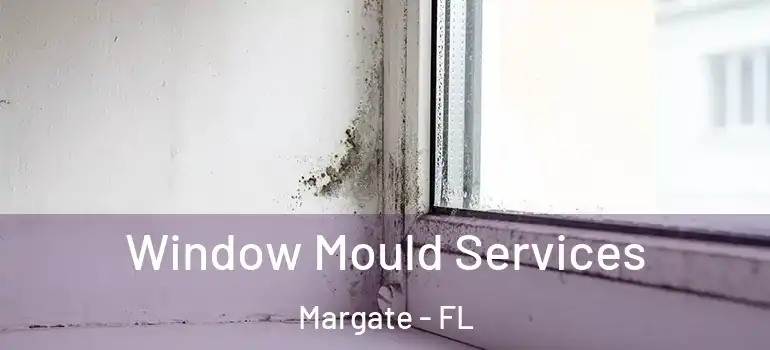  Window Mould Services Margate - FL